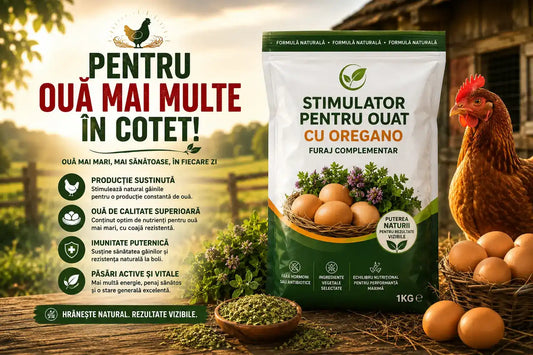 Supliment Natural pentru Hrănire și Ouat | 1kg